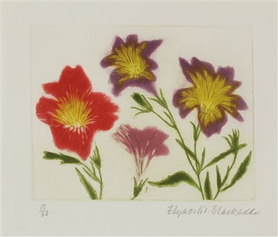 Lot 14 - Dame Elizabeth Blackadder RA RSA (b.1931)