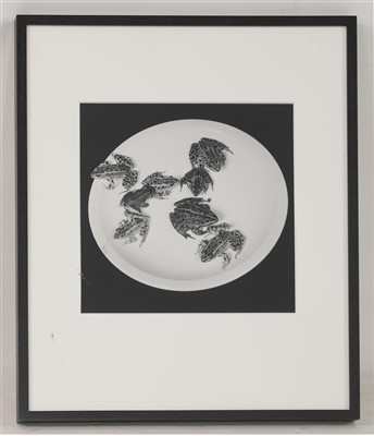 Lot 471 - Robert Mapplethorpe (American 1946-1989)