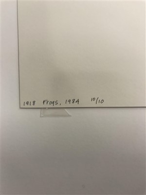 Lot 471 - Robert Mapplethorpe (American 1946-1989)