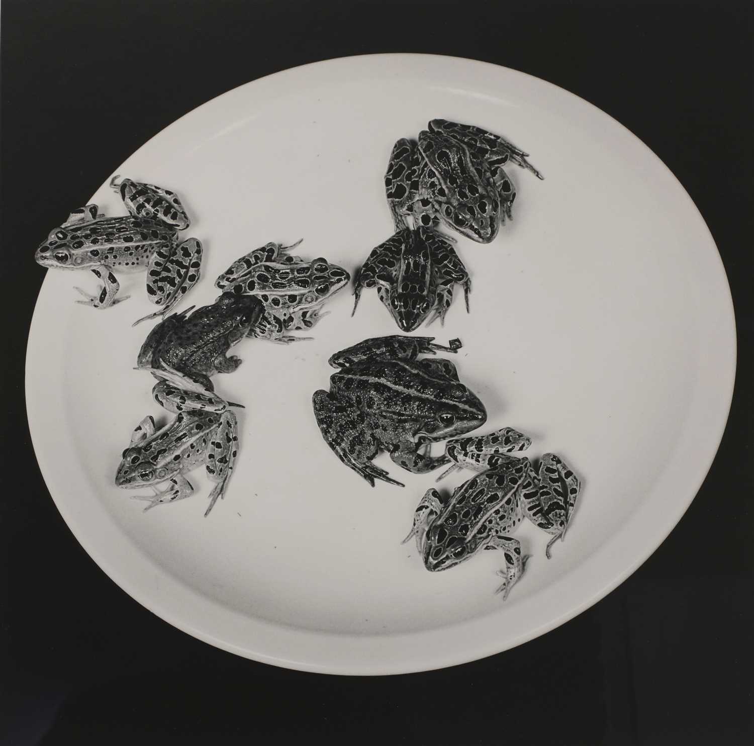 Lot 471 - Robert Mapplethorpe (American 1946-1989)