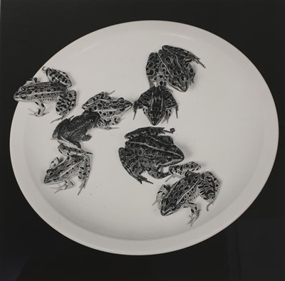 Lot 471 - Robert Mapplethorpe (American 1946-1989)