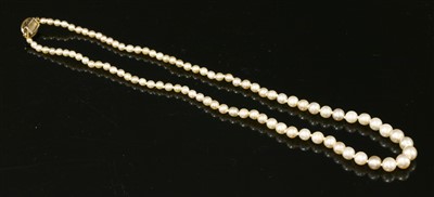 Lot 162 - A single row uniform pearl necklace with a diamond set box clasp
