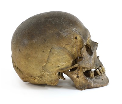 Lot 215 - A MALE HUMAN SKULL