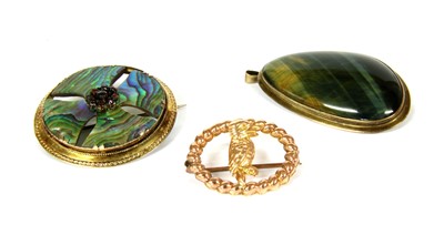 Lot 8 - A gold hawkeye pendant/brooch