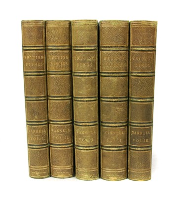 Lot 307 - Yarrell, William: History of British Fishes in 2 Vols.