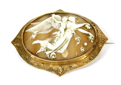 Lot 35 - A gold mounted shell cameo brooch