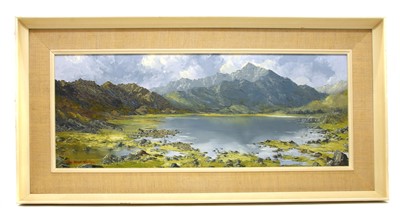 Lot 261 - Charles Wyatt Warren