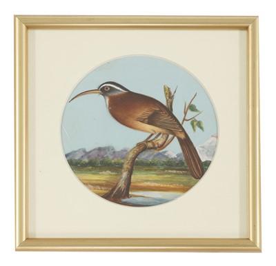 Lot 151 - Eight circular paintings on mica of Indian birds