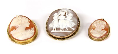 Lot 290 - Three shell cameo brooches