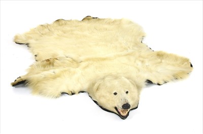 Lot 719 - A large polar bear skin rug