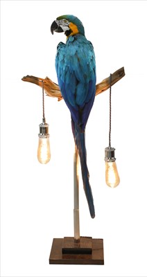 Lot 192 - MACAW LAMP