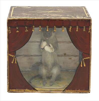Lot 60 - BOXING MONKEY