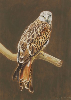 Lot 162 - Andrew Cowdell, contemporary