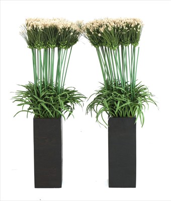 Lot 775 - A pair of faux agapanthus plants