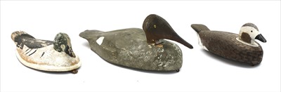 Lot 94 - Three painted pine decoy ducks