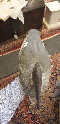 Lot 94 - Three painted pine decoy ducks