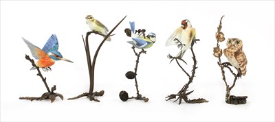 Lot 263 - Five Albany birds