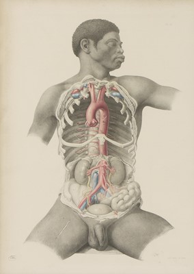 Lot 529 - ANATOMICAL AUTOPSY
