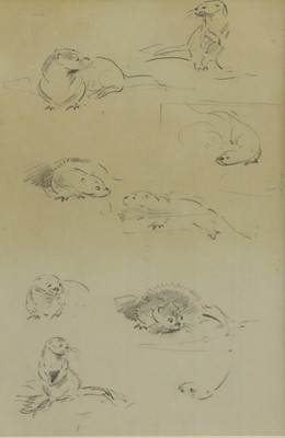 Lot 146 - Eileen Soper (1905-1990)