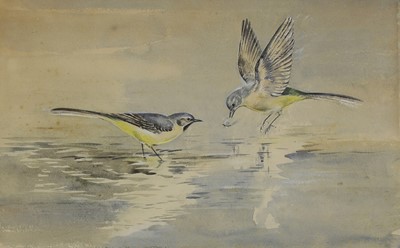 Lot 148 - Eileen Soper (1905-1990)