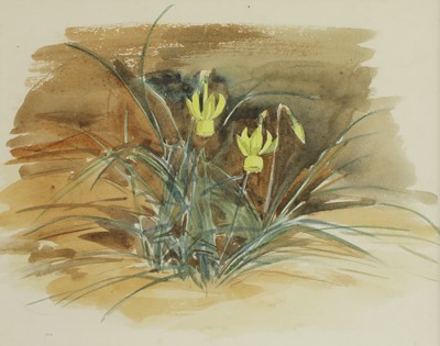 Lot 143 - George Soper (1870-1942)
