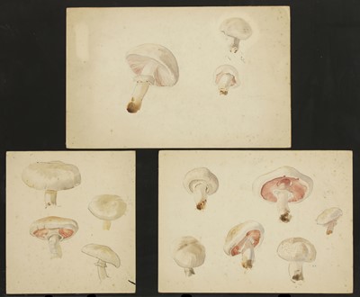 Lot 145 - Eileen Soper (1905-1990)