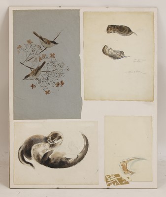 Lot 145 - Eileen Soper (1905-1990)