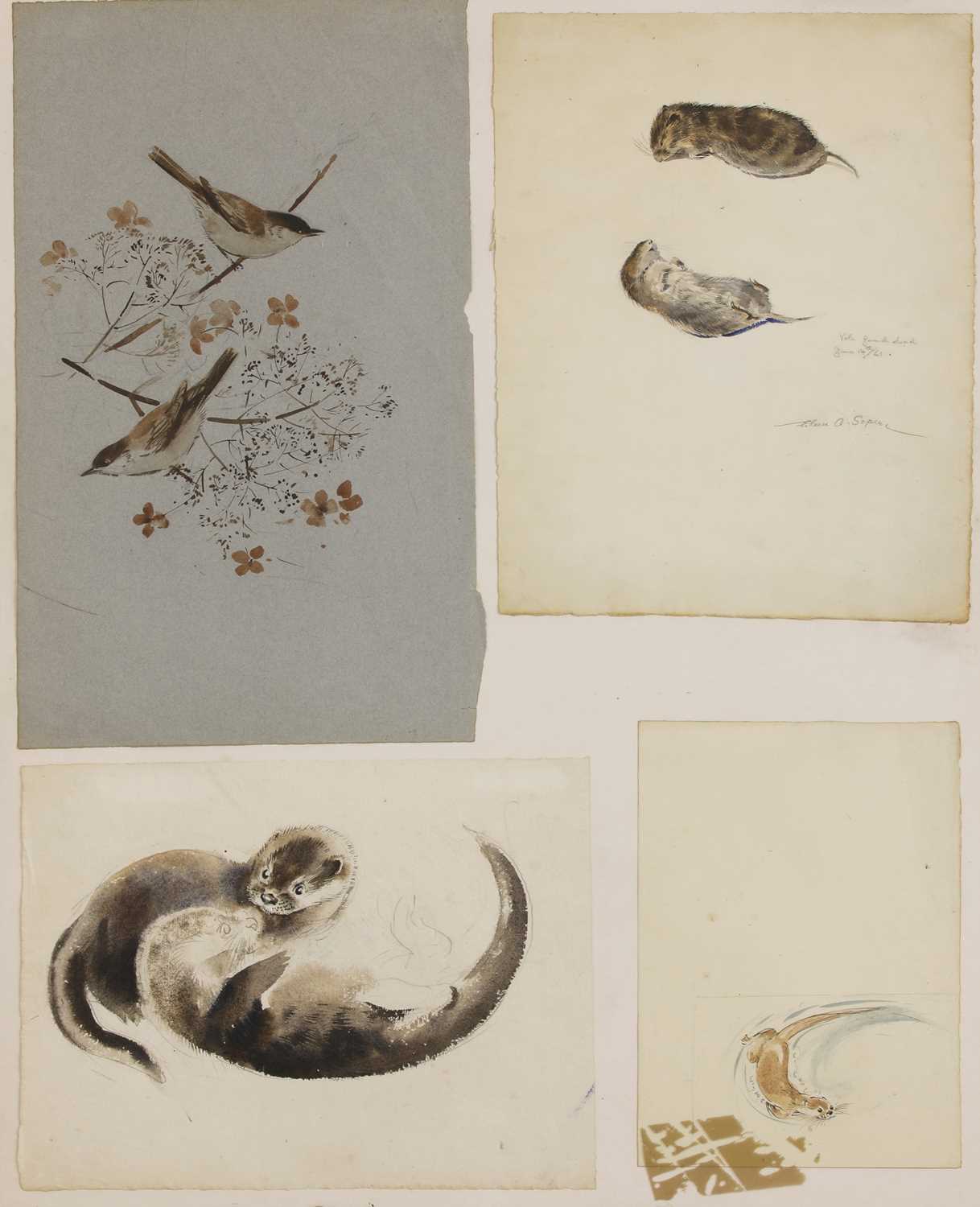 Lot 145 - Eileen Soper (1905-1990)