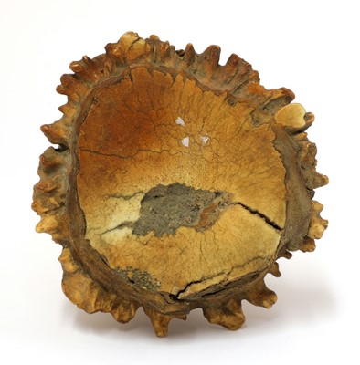 Lot 81 - A Chinese stag antler carving of Liu Hai