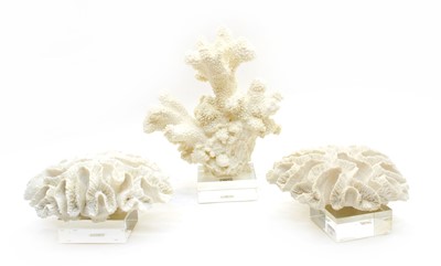 Lot 283 - A collection of mounted faux coral on glass stands