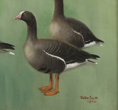 Lot 168 - Sir Peter Markham Scott (1909-1989)