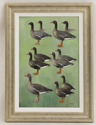 Lot 168 - Sir Peter Markham Scott (1909-1989)