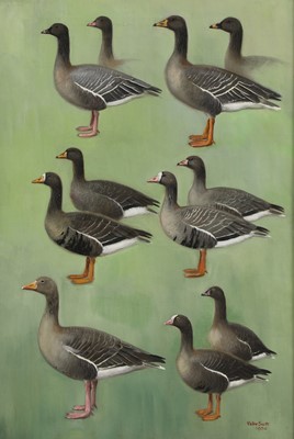 Lot 168 - Sir Peter Markham Scott (1909-1989)