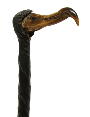 Lot 766 - A bull's pizzle walking stick with bird skull handle