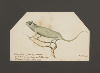 Lot 372 - O Robbins (19th century)