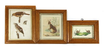 Lot 736 - English School