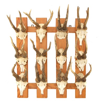 Lot 205A - A roebuck trophy