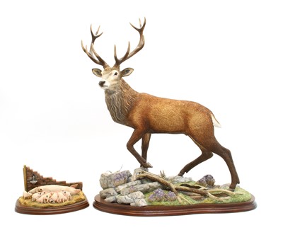 Lot 86 - Border Fine Arts 'Highlander'