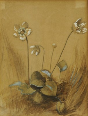 Lot 123 - John Ruskin (British, 1819-1900)