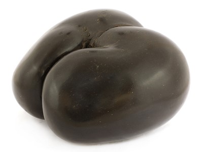 Lot 306 - A sea coconut or coco de mer (Lodicea maldivica)