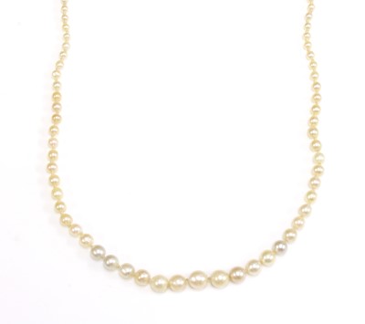 Lot 127 - A single row graduated natural saltwater pearl necklace