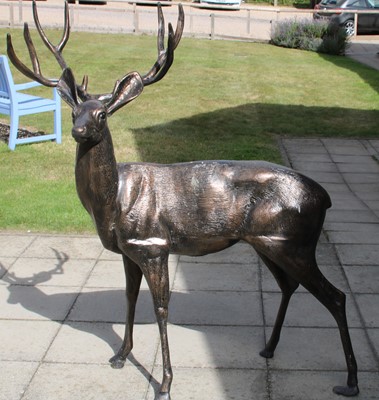 Lot 706 - Red Deer Stag, bronze