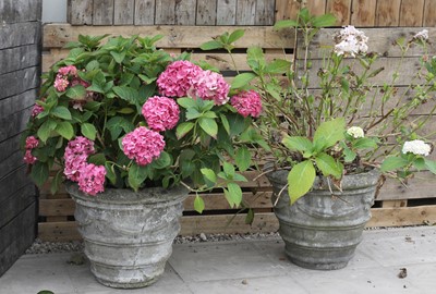 Lot 425 - A pair of composite stone garden urns