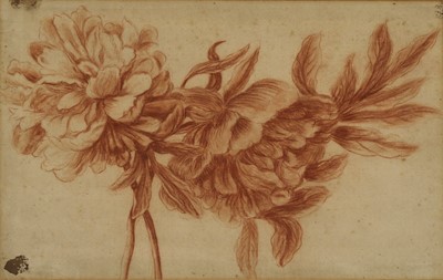 Lot 533 - Attributed to Jan Van Os (Dutch, 1744-1808)
