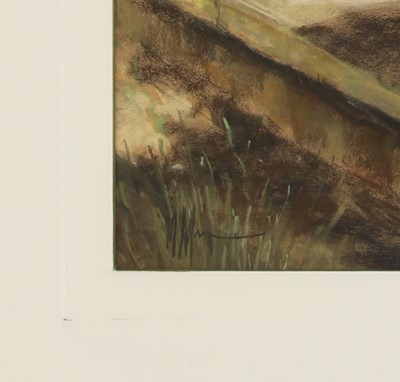 Lot 553 - Maureen Jordan (20th century)