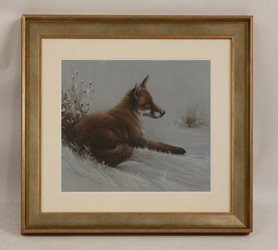 Lot 63 - John Naylor (b.1945)