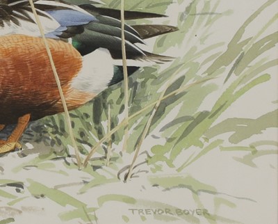 Lot 169 - Trevor Boyer (b.1948)
