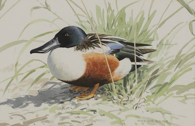 Lot 169 - Trevor Boyer (b.1948)