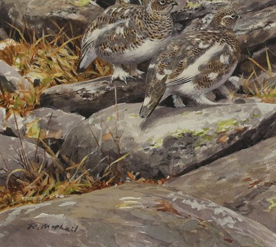 Lot 155 - Rodger McPhail (b.1953)