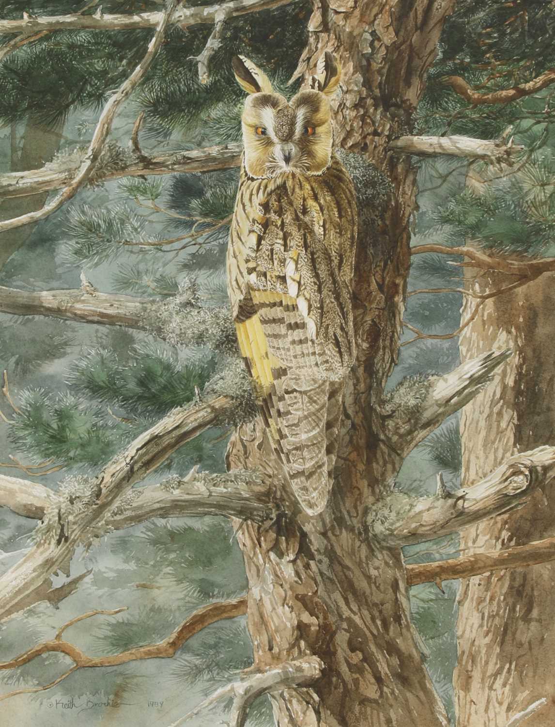 Lot 163 - Keith Brockie (b.1955)